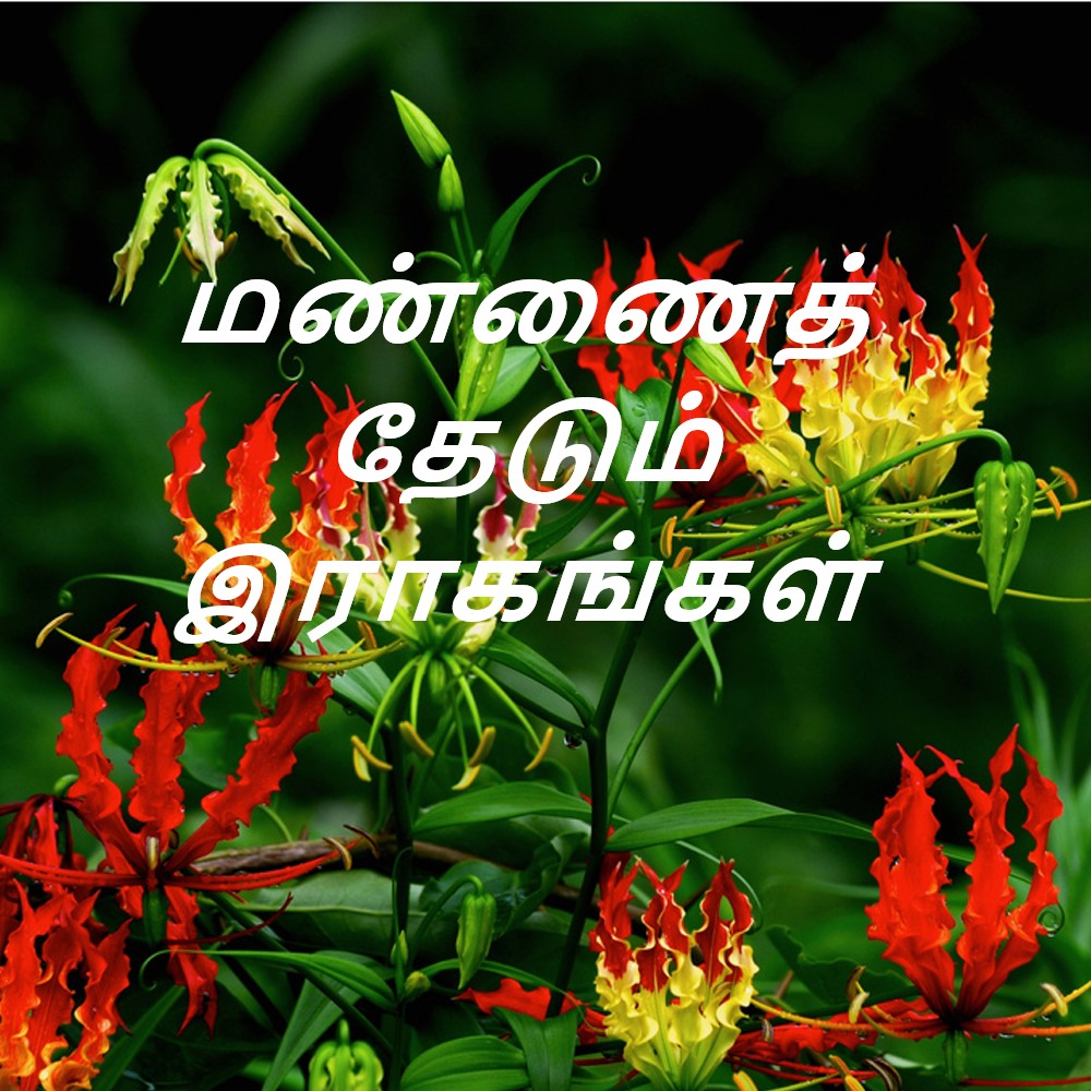 மண்ணைத்தேடும் இராகங்கள்